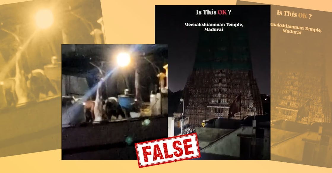 maduraimeenakshitemplegoatorcowsacrificefactcheck-1-