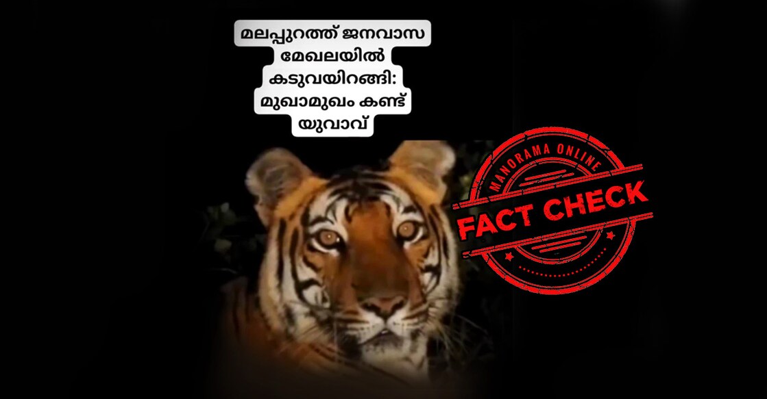 karuvarakkundutigervideofactcheck-2-