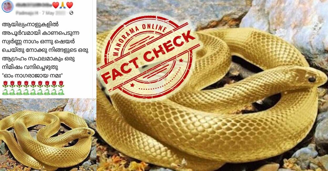 snakefake