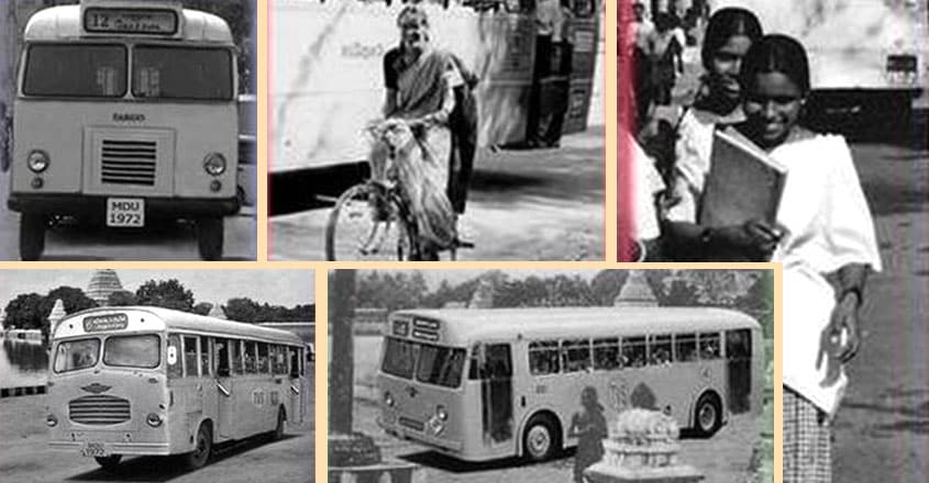 bus bus