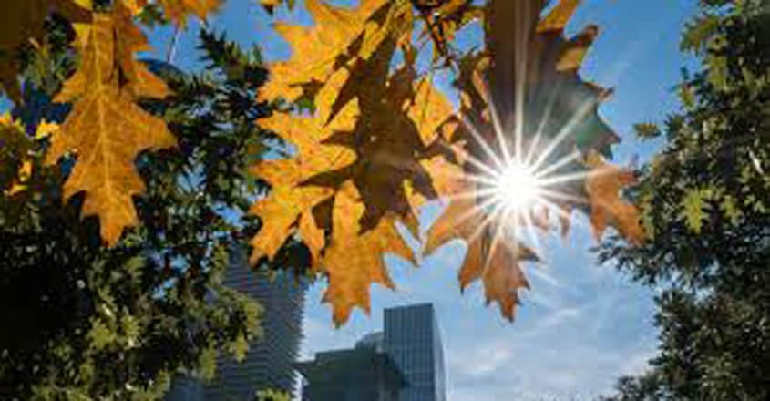 golden-october-2 golden-october-2