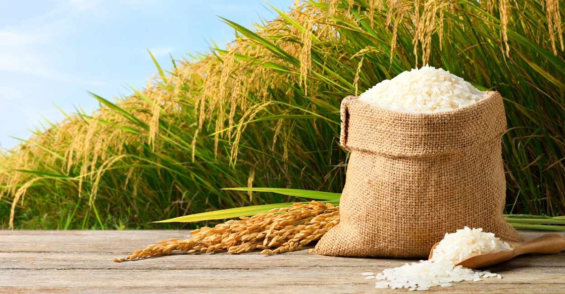Rice-shutterstock Image Credit:Photoongraphy/shutterstock.com