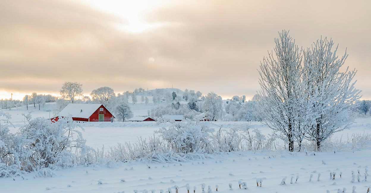 Historic Cold Snap Hits Sweden: Coldest January Night in 25 Years Recorded