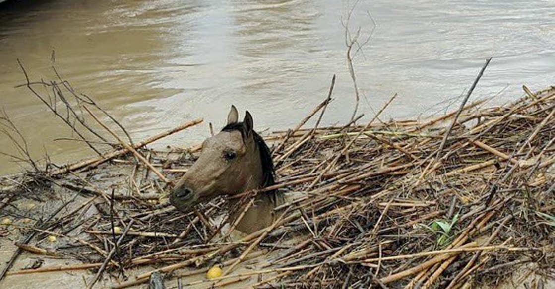 spain-battles-europes-worst-floods-in-500-years spain-battles-europes-worst-floods-in-500-years