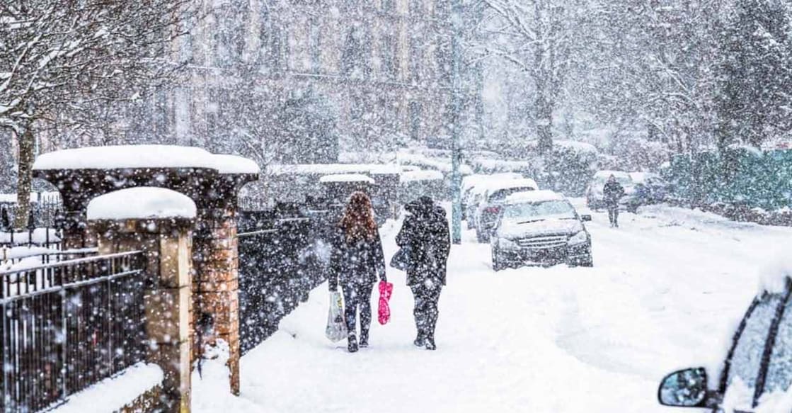 man-dies-after-tree-falls-on-car-in-uk-snowfall Representative Image. Image Credits: georgeclerk/Istockphoto.com