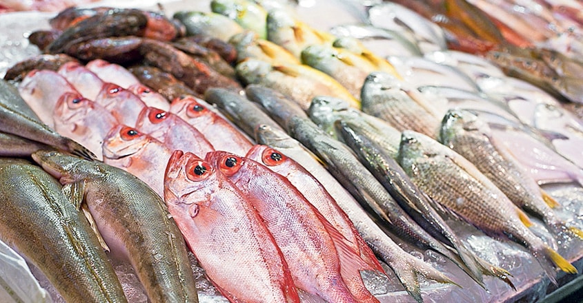 fish-market fish-market