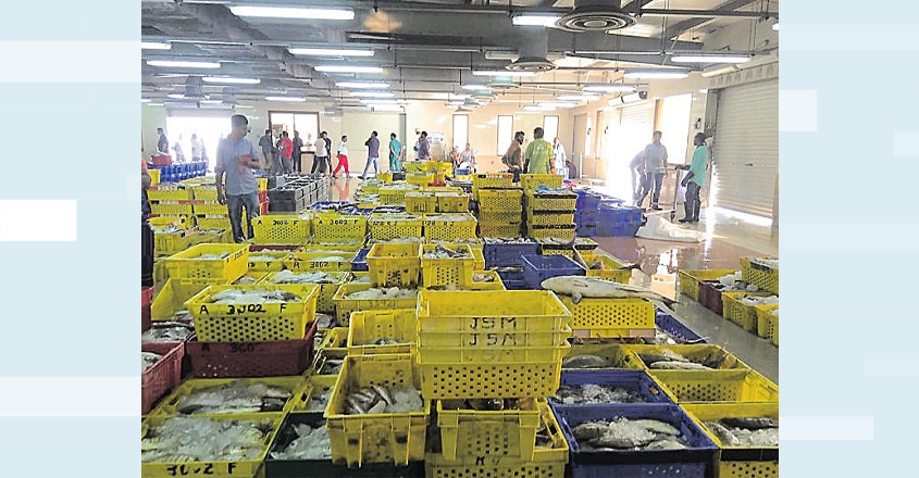 um-salal-fish-market um-salal-fish-market
