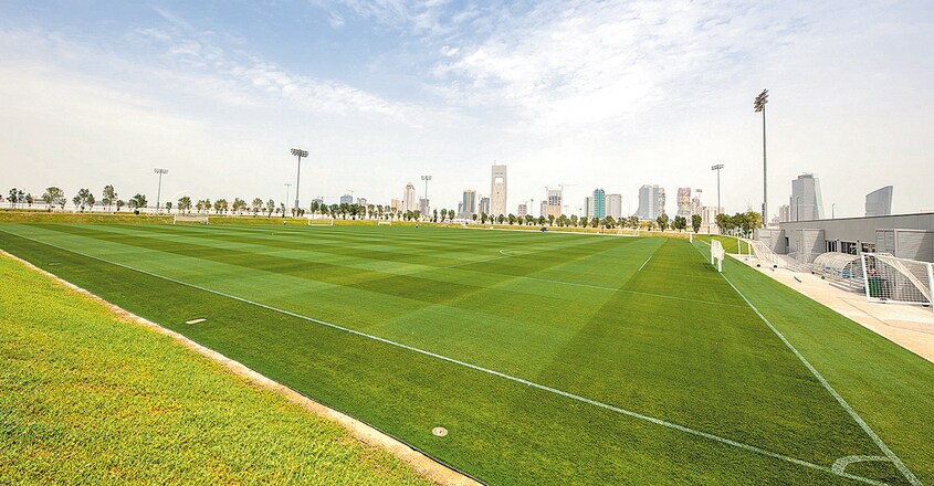 doha-pitch doha-pitch