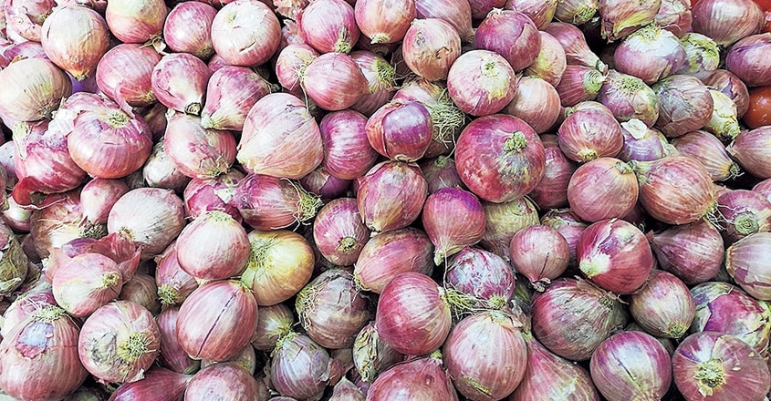 Best Onion Sites 2023