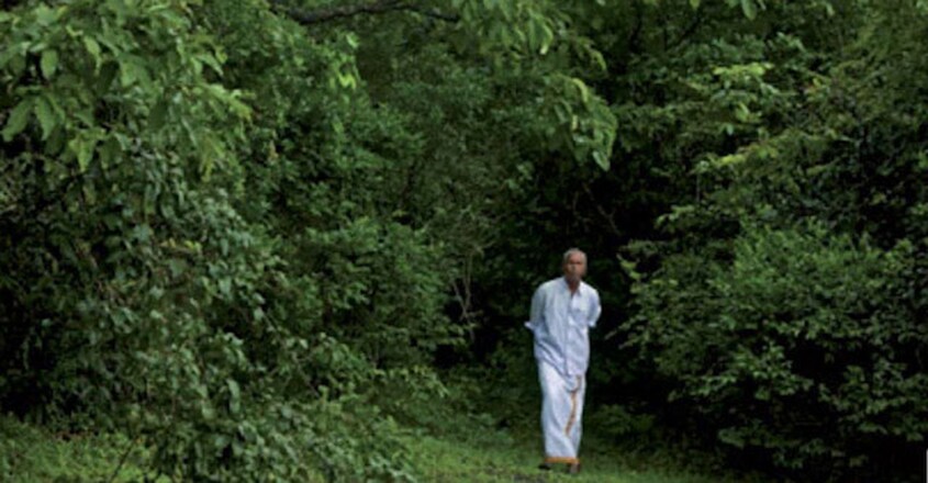 forest-kareem forest-kareem
