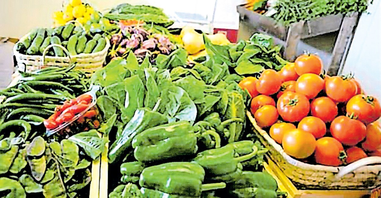 qatar-to-become-self-sufficient-in-agricultural-production-time-news