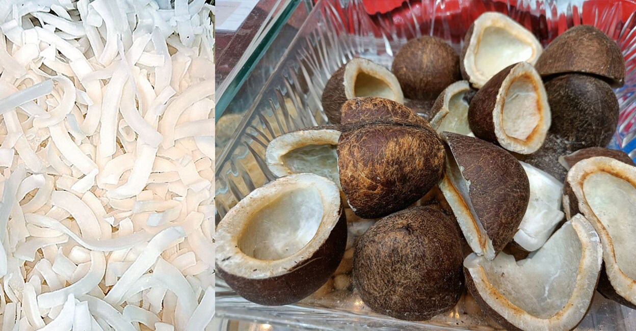 തോറ്റുപോകരുത് കെ‍ാപ്രാസംഭരണം Editorial about dried coconut storage