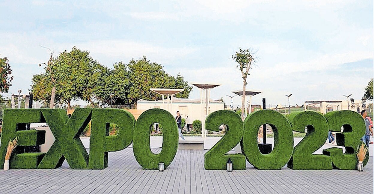 Doha Horticultural Expo is in the final stages of preparation News