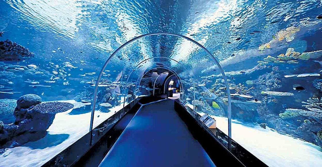 hamad-aquarium സന്ദർശക കേന്ദ്രത്തിലെ അക്വേറിയം.
