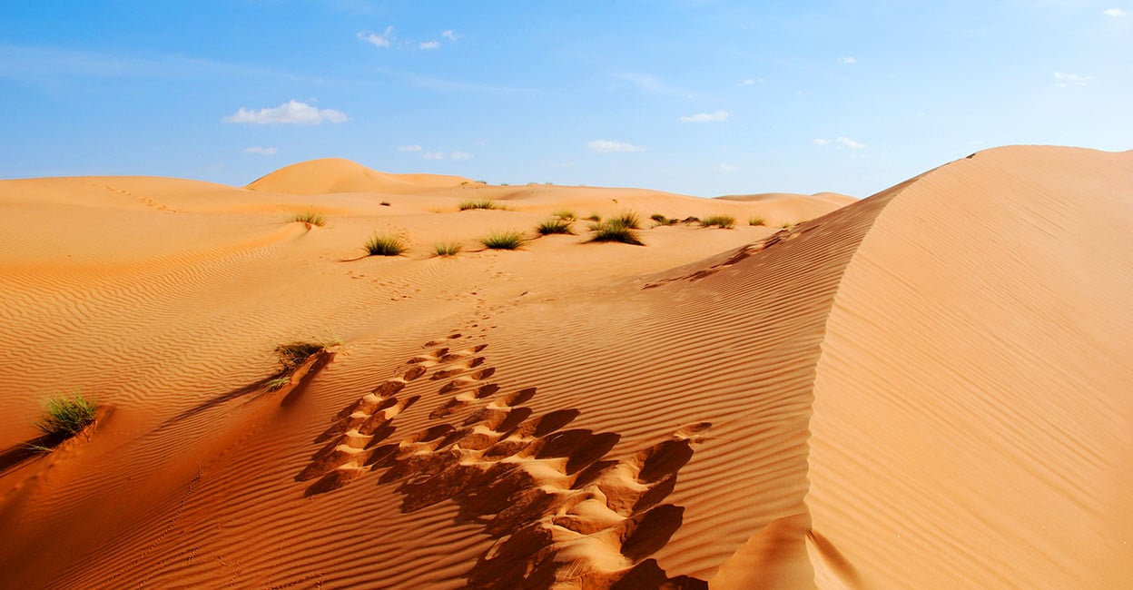    Secrets Of Rub Al Khali 