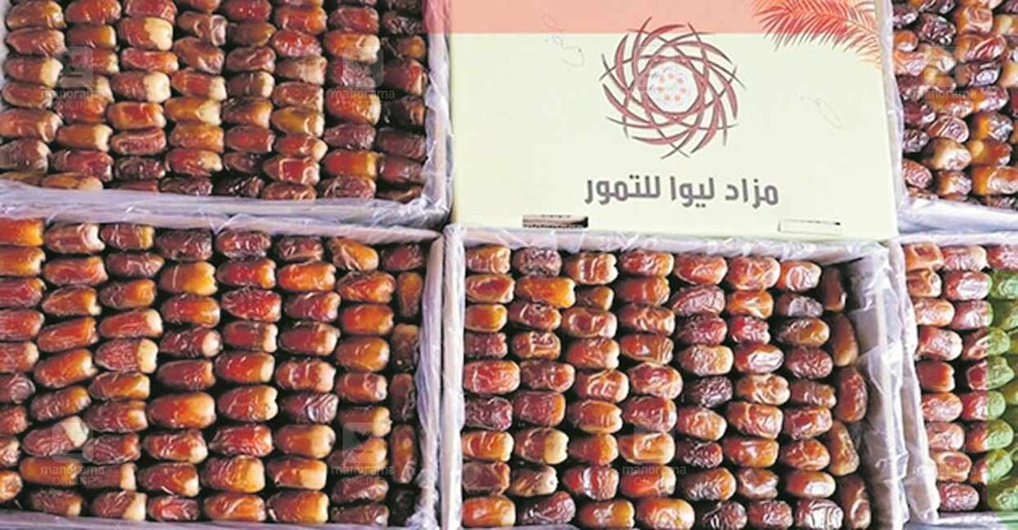 liwa-dates-festival-kicks-off-in-zayed-city-al-dhafra