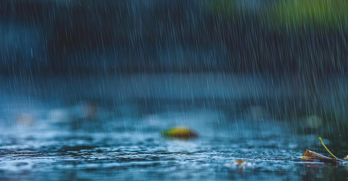 Representative Image. Image Credit: iiievgeniy/iStock.com
