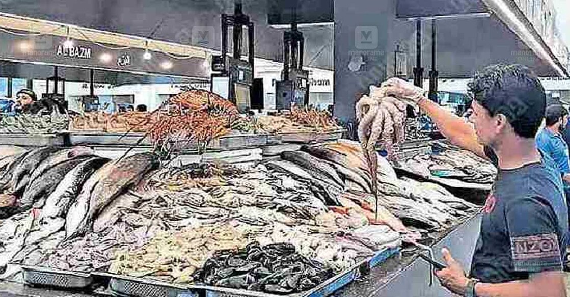 expatriates-in-the-uae-have-stopped-buying-sardines-for-months-due-to-rising-prices അബുദാബി മിനാ ഫിഷ് മാർക്കറ്റിൽ നിന്നുള്ള ദൃശ്യം