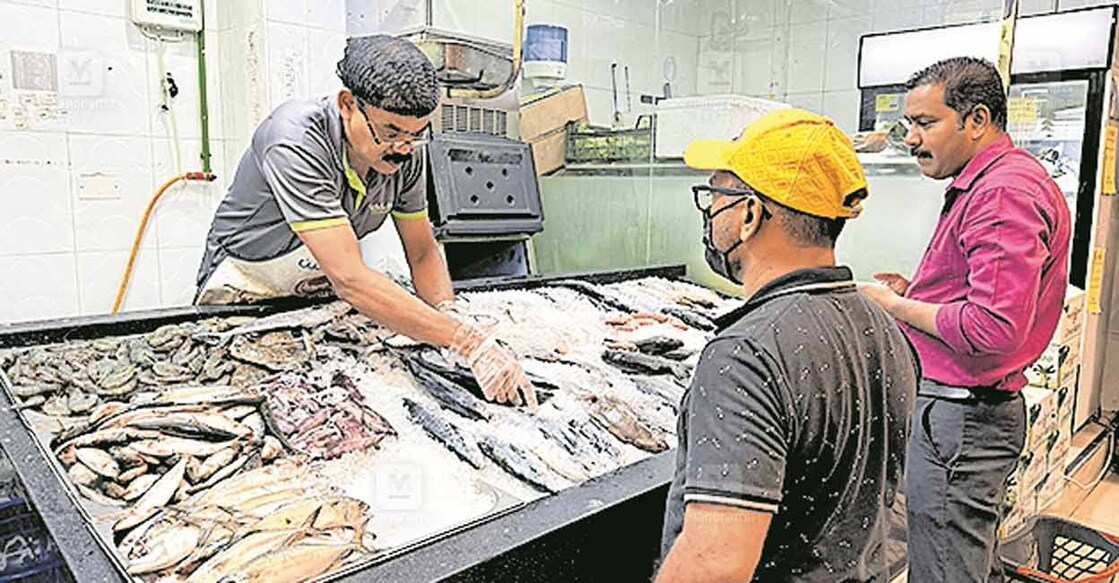 fish-prices-dip-in-uae-markets