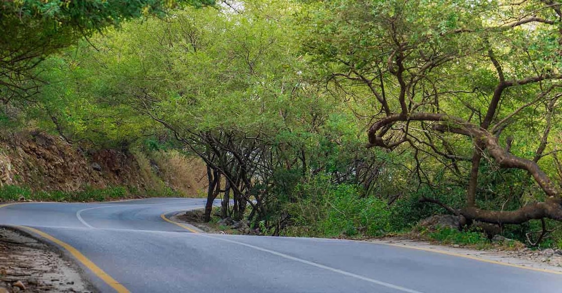 Image Credit: Shakeel Sha/istockphoto.com
