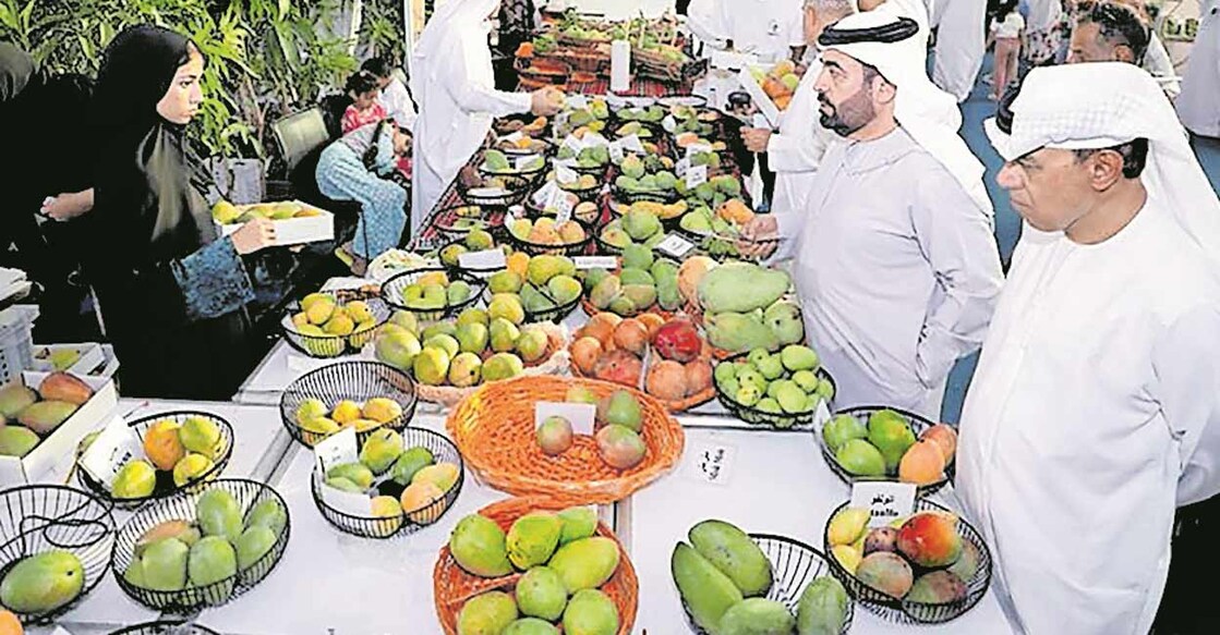 mango-festival-2024-concluded-sharjah