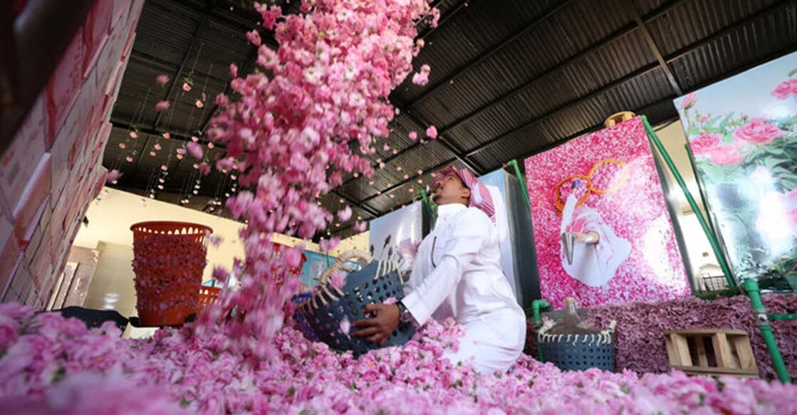 pink-roses-steal-hearts-across-arabian-peninsula pink-roses-steal-hearts-across-arabian-peninsula