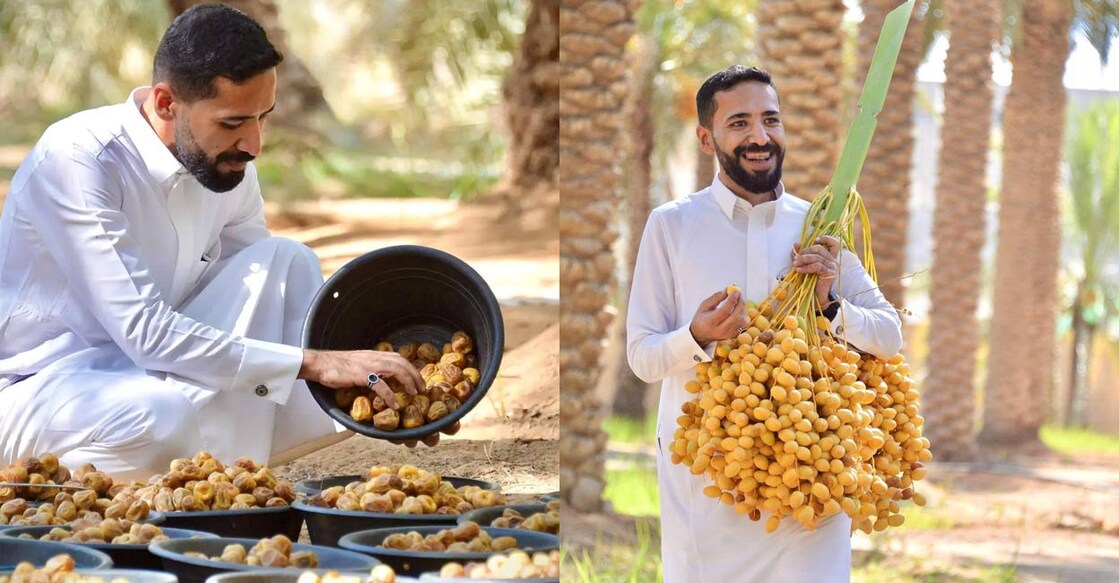 saudi-arabia-qassim-region-produces-11-million-of-kingdom-dates ചിത്രം: എസ്പിഎ.
