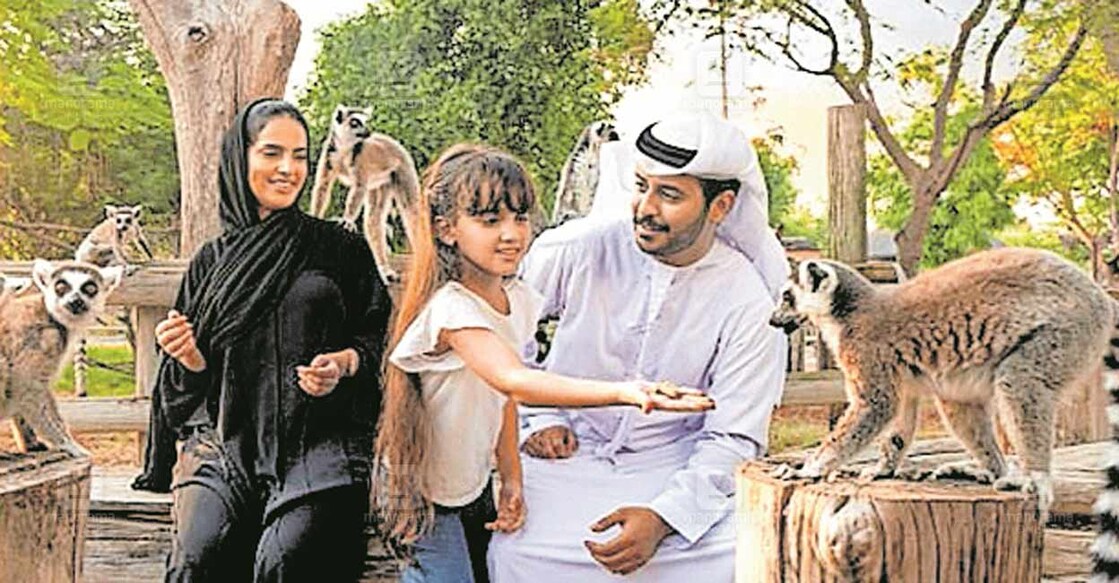 dubai-safari-park-opens-to-the-public-on-1-october dubai-safari-park-opens-to-the-public-on-1-october