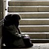 beggar-web