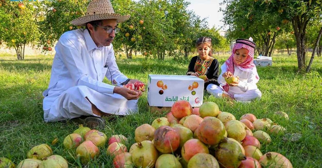 pomegranate-city-a-new-investment-destination-in-al-baha pomegranate-city-a-new-investment-destination-in-al-baha