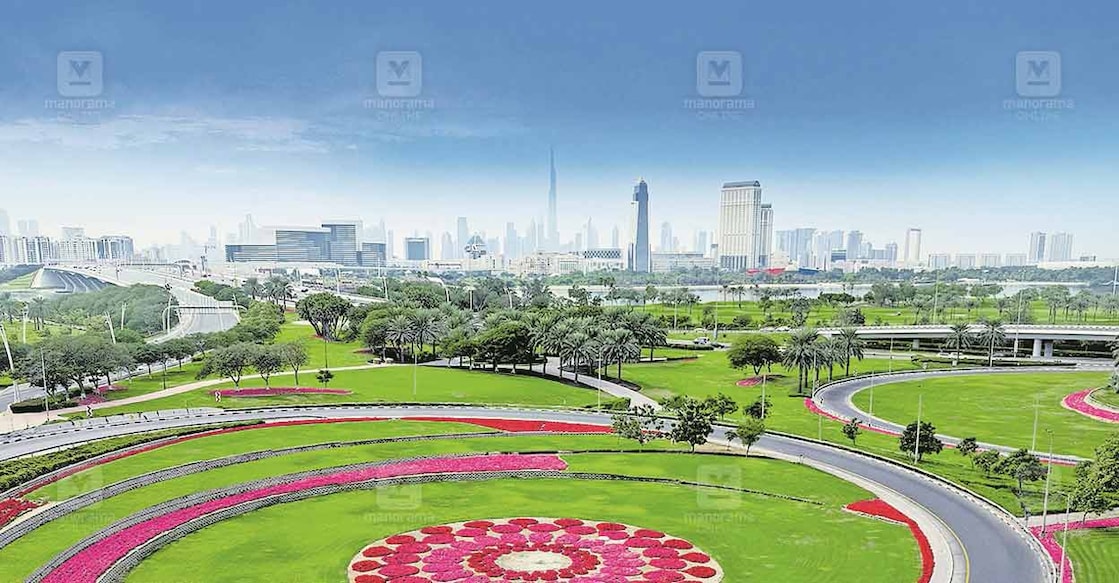 dubai-municipality-announced-that-it-has-planted-a-total-of-216500-new-trees-in-2024