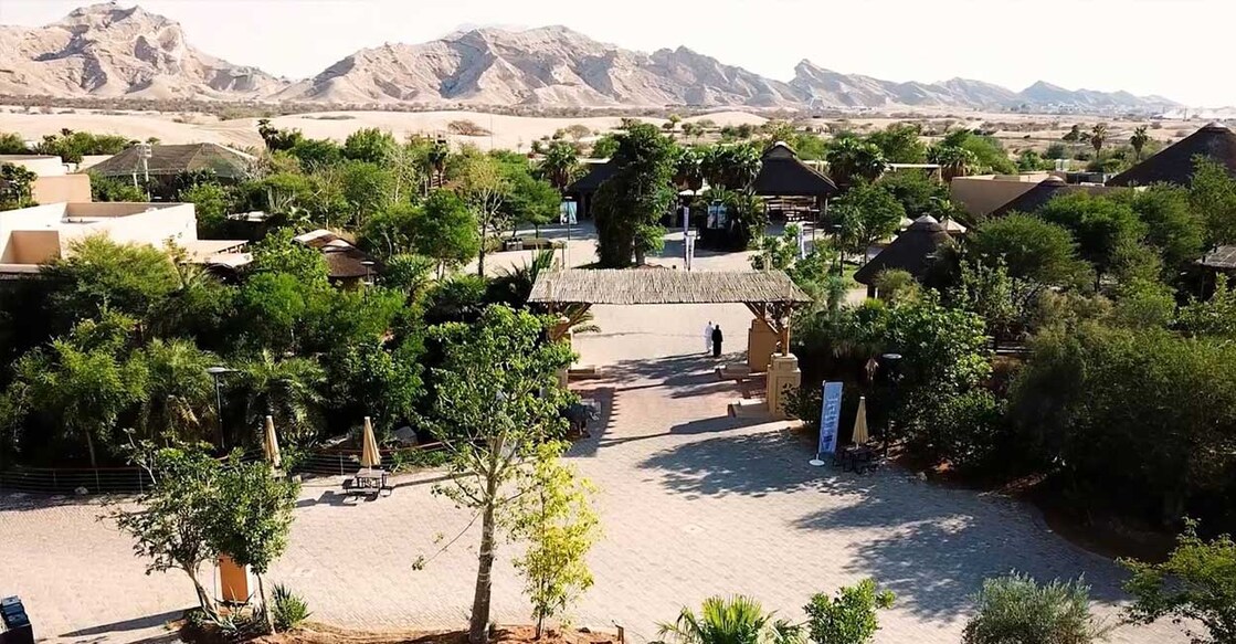 bhytnnl-ain-zoo-offers-free-entry-for-senior-citizens Image Credit:WAM
