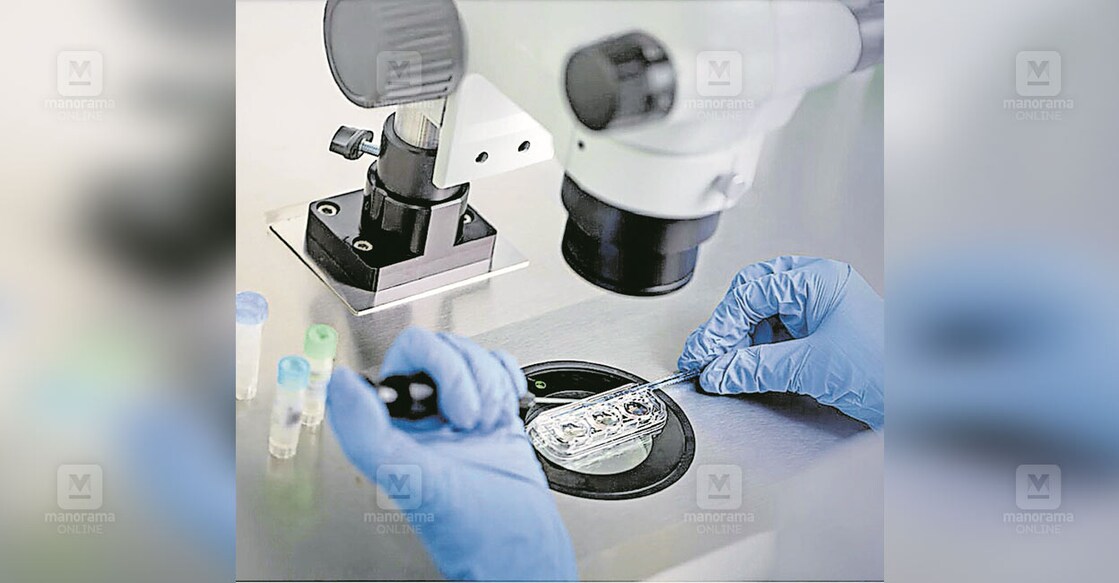abu-dhabis-ivf-services-ranked-among-the-most-successful-worldwide-in-2024 abu-dhabis-ivf-services-ranked-among-the-most-successful-worldwide-in-2024