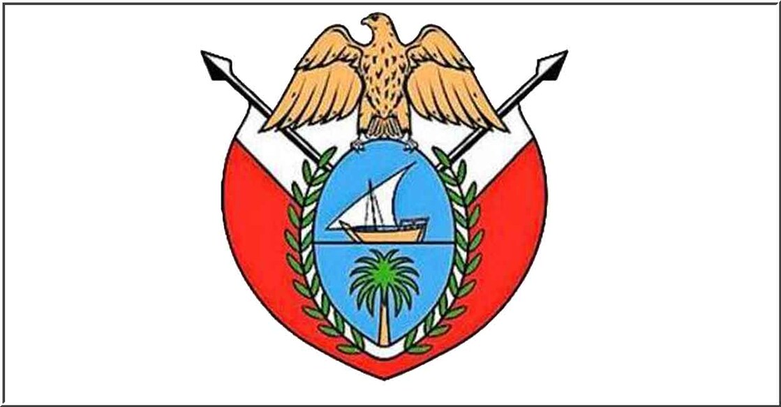 dubai-issues-new-law-to-regulate-use-of-govt-logo-new