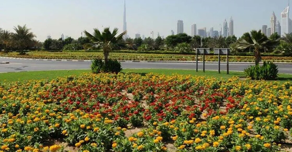 dubai-announces-car-free-areas-as-part-of-the-super-block-project ചിത്രത്തിന് കടപ്പാട് : വാം.