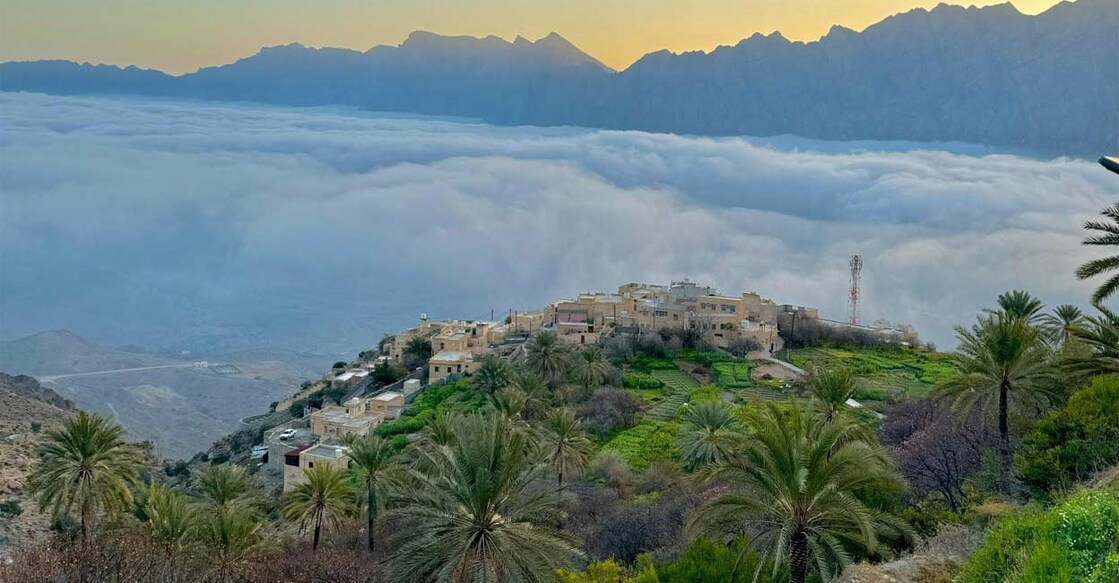 apricot-season-in-wakan-village-in-oman