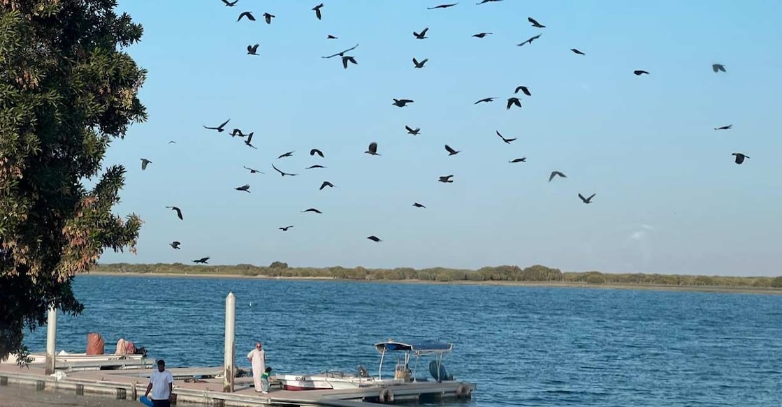 ncm-predicts-generally-pleasant-weather-in-the-uae-today