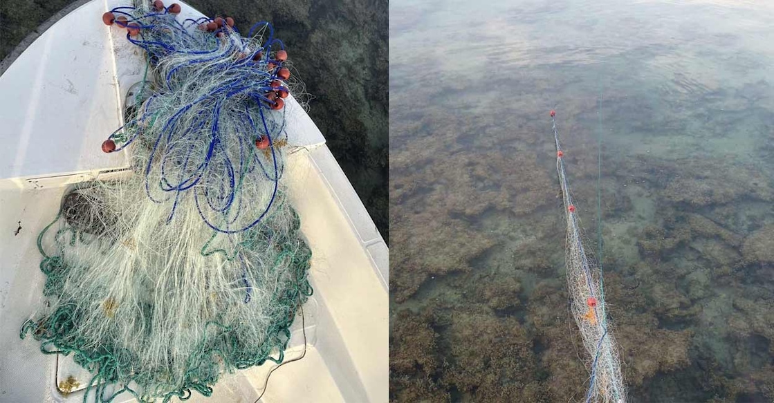 qatar-ministry-seized-fishing-nets-in-prohibited-area ചിത്രം: സ്പെഷൽ അറേഞ്ച്മെന്റ്