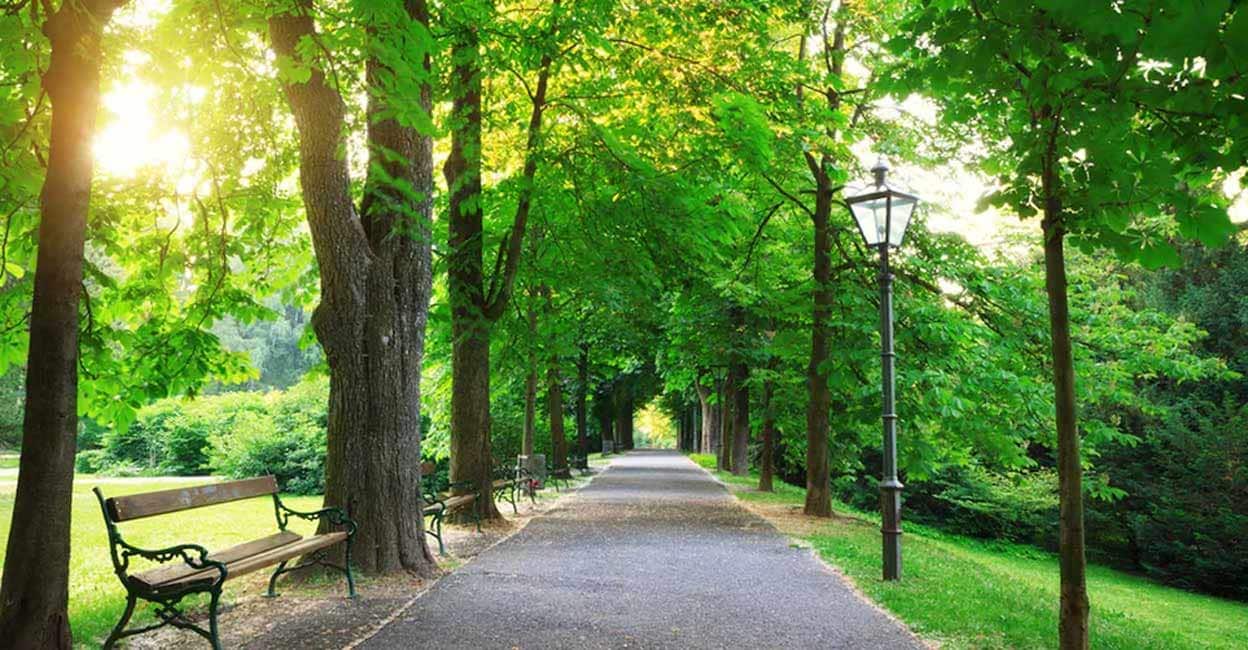 Muscat Parks റമസാന് മസ്കത്തില് പാര്ക്കുകളുടെ പ്രവര്ത്തന സമയത്തില് മാറ്റം ...