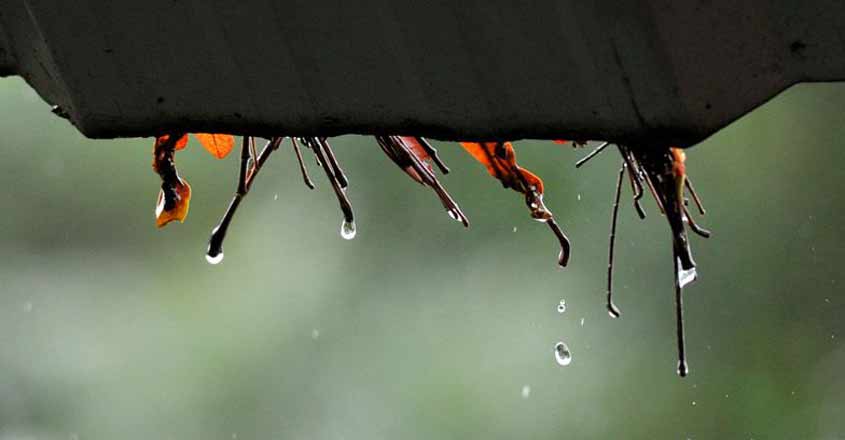 Rain Rain