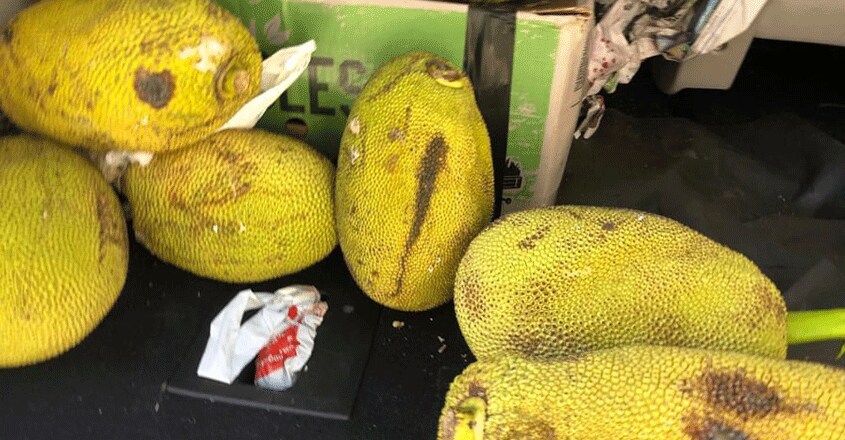 jack-fruit jack-fruit