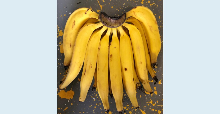 banana banana