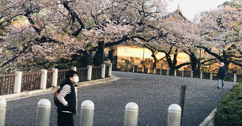 Japan-1 Japan-1