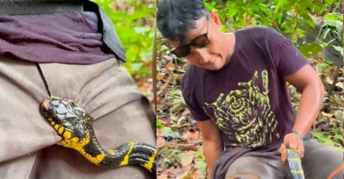 indonesian-influencer-bitten-genitals-snake-video-shoot അംഗാര ഷോജി സമൂഹ മാധ്യമത്തിൽ പങ്കുവച്ച വിഡിയോയിൽ നിന്നുള്ള ദൃശ്യം