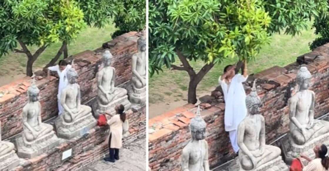 തായ്‌ലൻഡിലെ ക്ഷേത്രത്തിലെ വിഗ്രഹത്തിൽ കയറി മാങ്ങ പറിക്കുന്ന വനിത. Screengrab: instagram/balibatmann