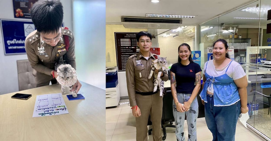 cat-arrested-in-thailand-for-biting-cops-viral-post cat-arrested-in-thailand-for-biting-cops-viral-post