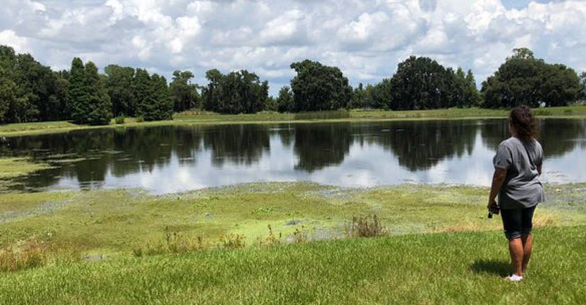 pond pond