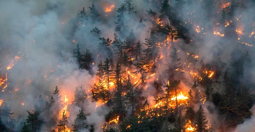 Oregon fire West Coast fire usa Oregon fire West Coast fire usa