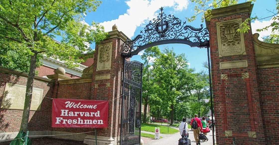 harvard-university harvard-university