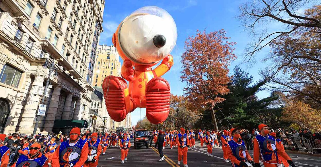Image Credit: Gordon Donovan / Shutterstockphoto.com.